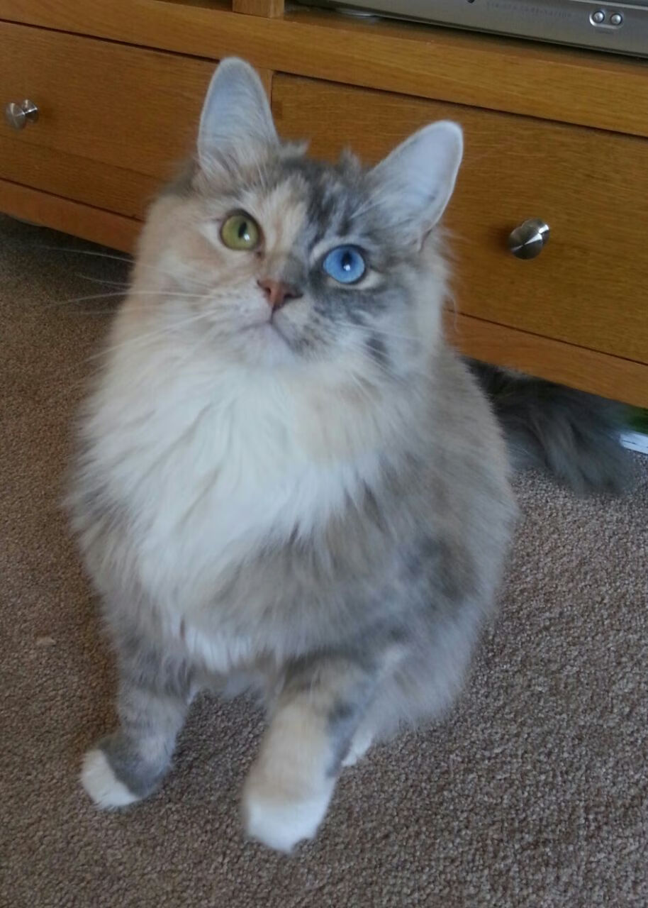 “青春筑梦”青少年篮球营在深圳连续举办,推动青苗成长,深圳青少年篮球训练