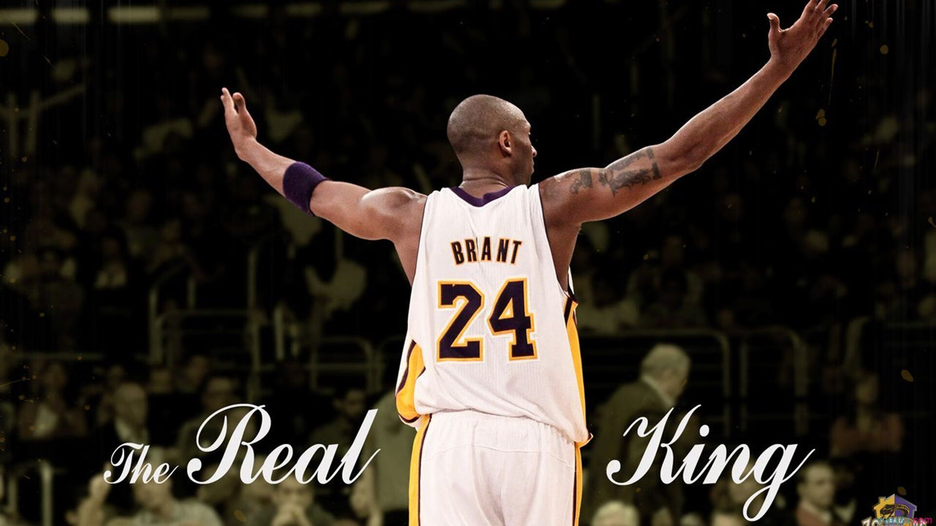 开云网页版登录入口-篮球赛事观众互动体验不断升级，篮球赛事观众互动体验不断升级什么意思