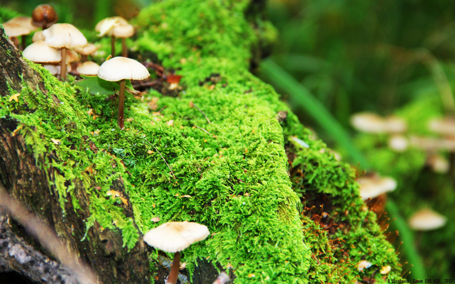 "极速飞跃"极限跳箱大赛,跳跃的挑战无限可能,下载极限跳跃