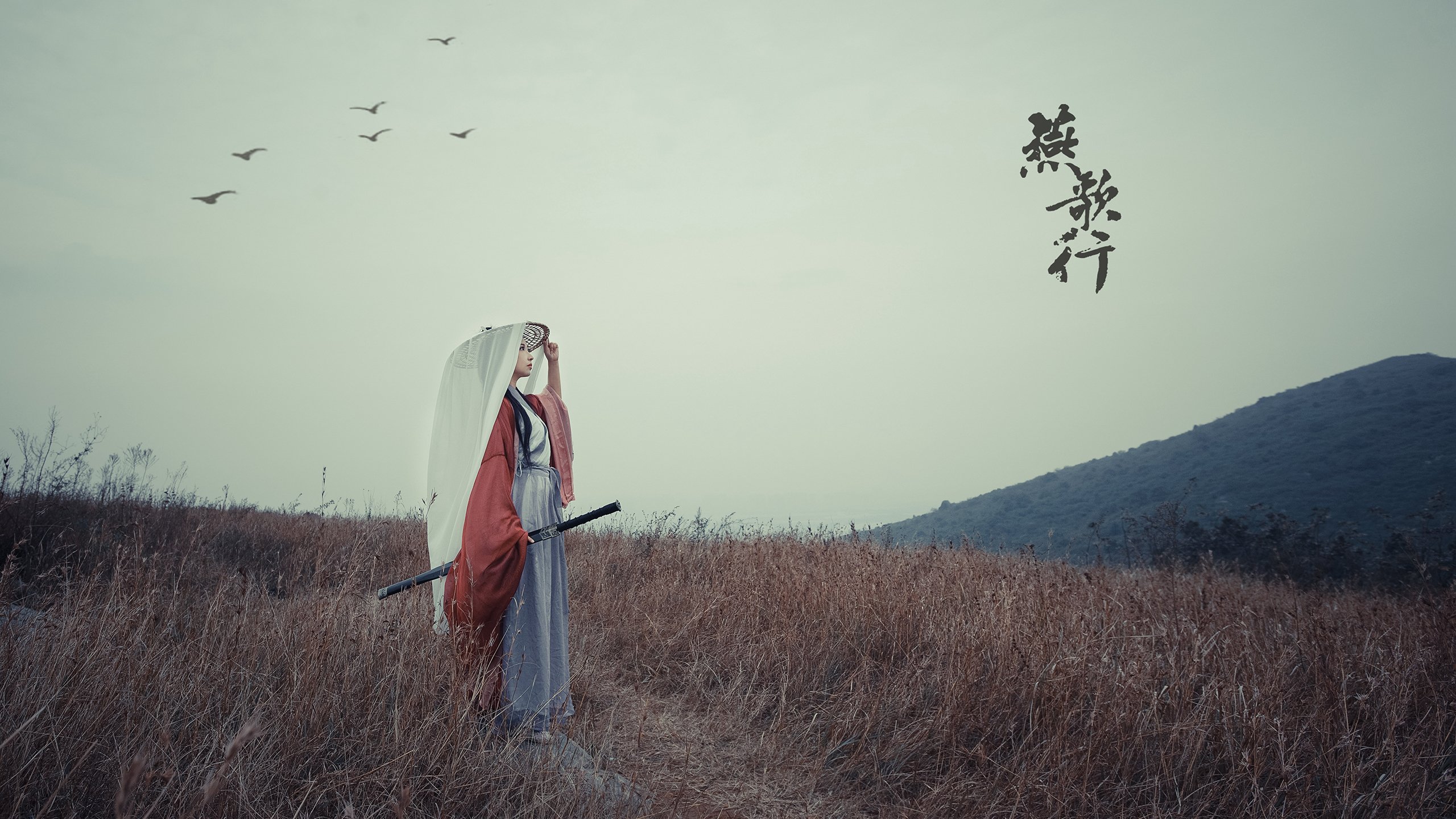 乌克兰队客场战胜立陶宛,积分榜次席,乌克兰主队