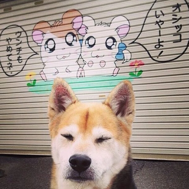 尤文图斯憾负拜仁，遗憾出局下一轮，尤文图斯对拜仁