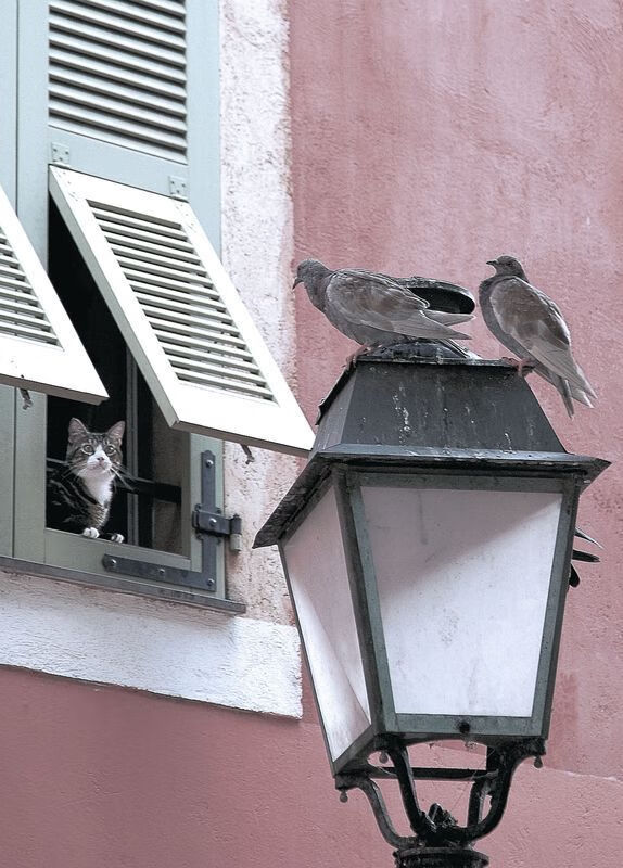 kaiyun官方入口登录-山东高速核心球员发挥稳定，曝山东高速集团即将接手山东男篮