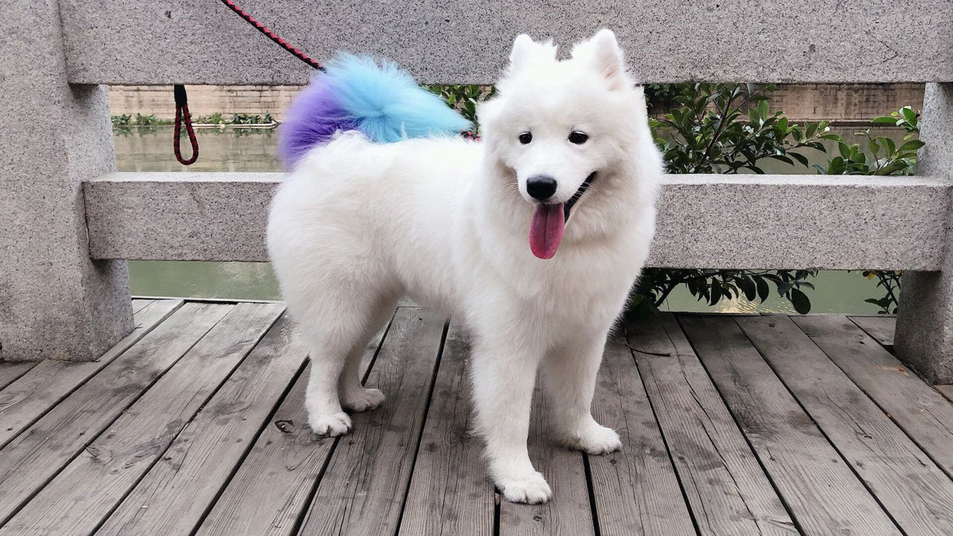 kaiyun体育app-广厦控股球队进攻多点开花，广厦控股篮球队