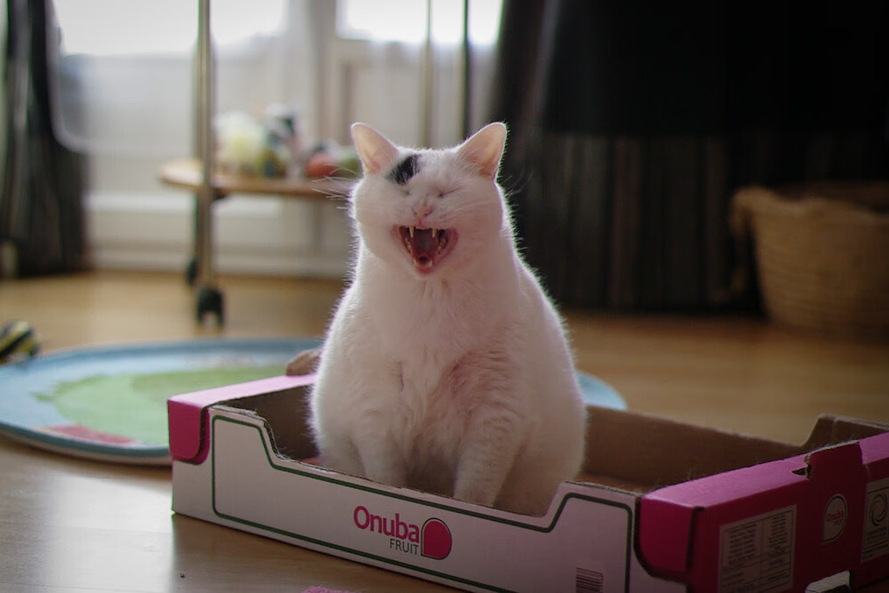 开云官方网站-教练团队大调整，引发外界猜测和讨论，教练团队介绍怎么写