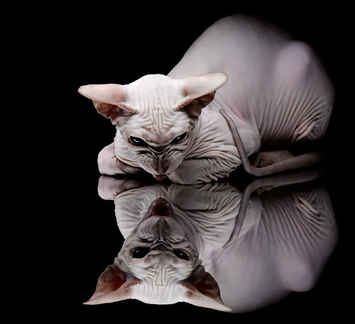 河床球员士气高涨,河床历史球星