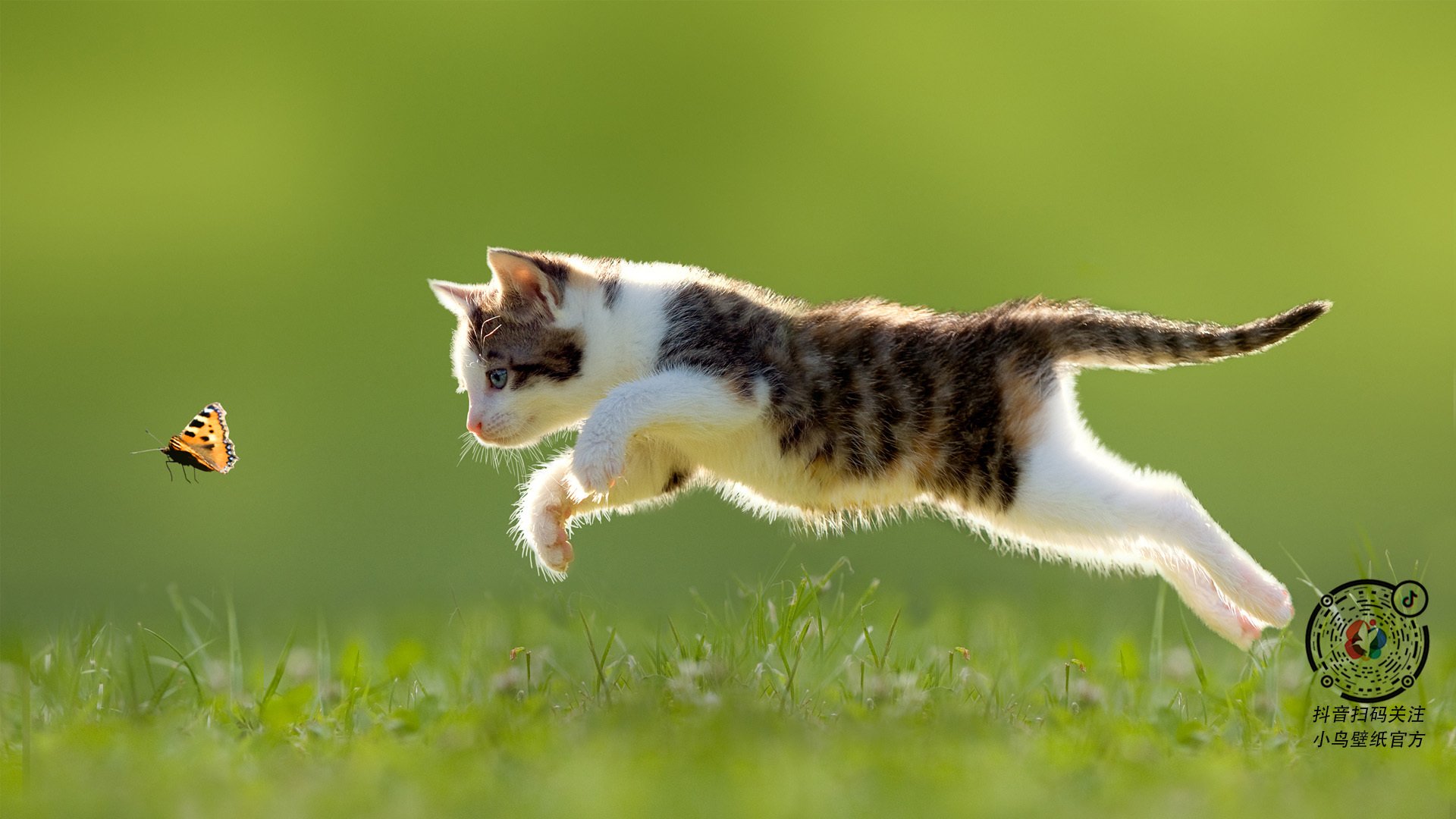 自由人队球员健康状况良好,足球队自由人