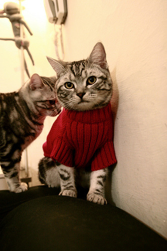 KAIYUNAPP-萨拉赫本赛季英超进球数破30，助攻榜领跑，萨拉赫英超mvp