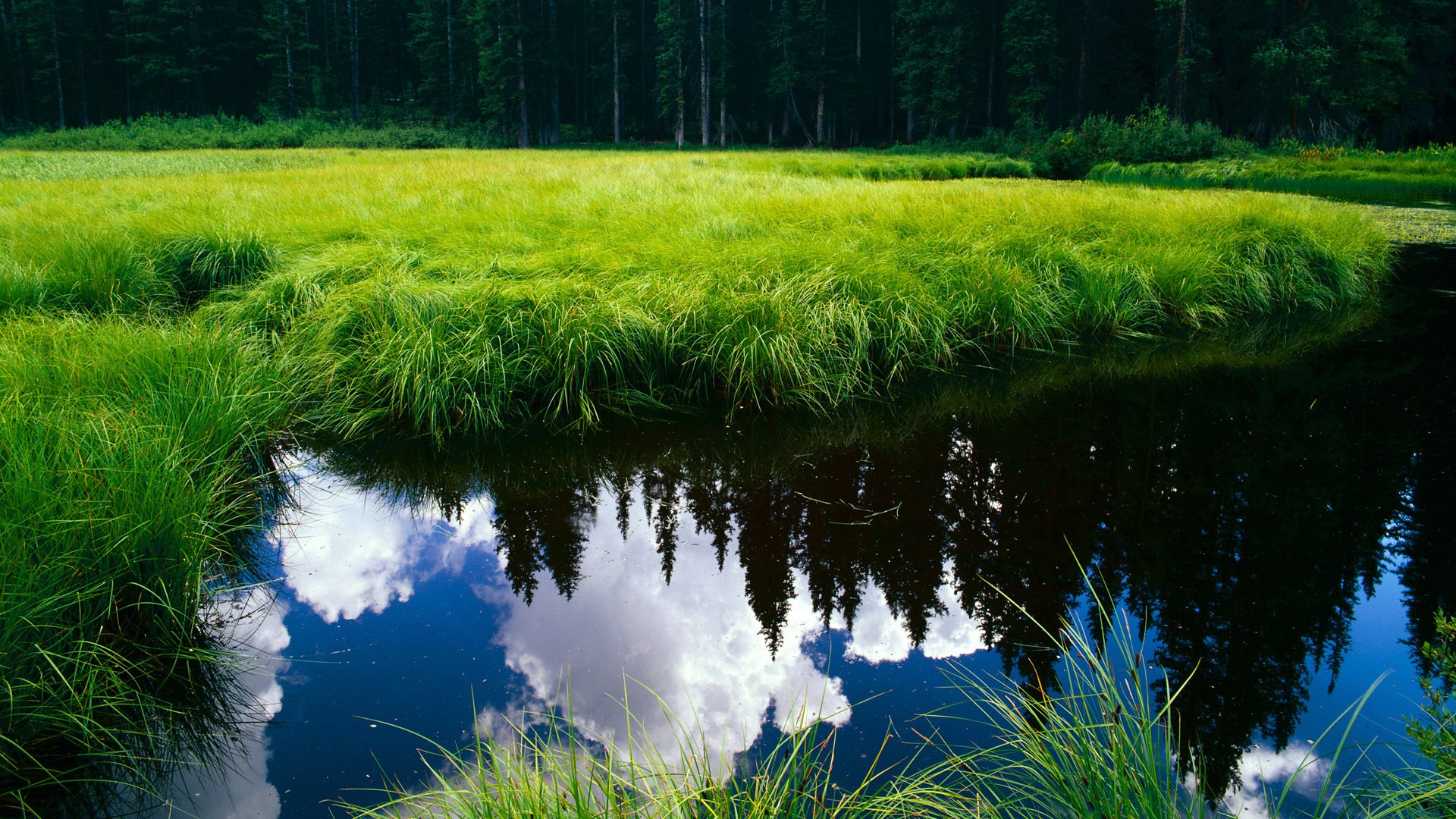 NBA联盟赛事直播影响,nba联盟通直播