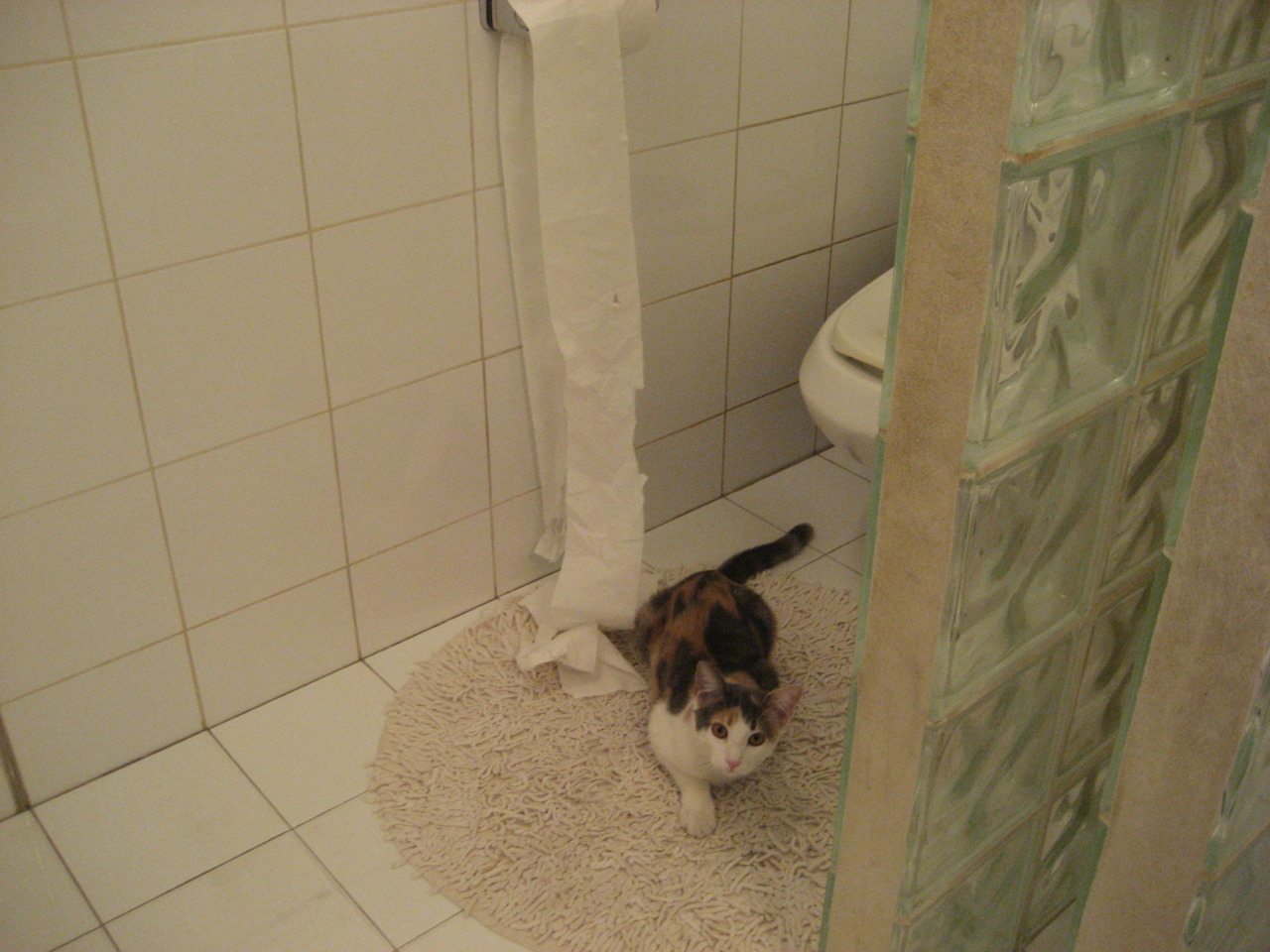 中超联赛边后卫助攻频率排行,中超助攻榜最新排名