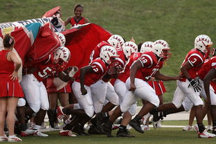 Kaiyun APP-全国城际定向越野赛青少年组吸引众多参赛者，全国定向越野锦标赛