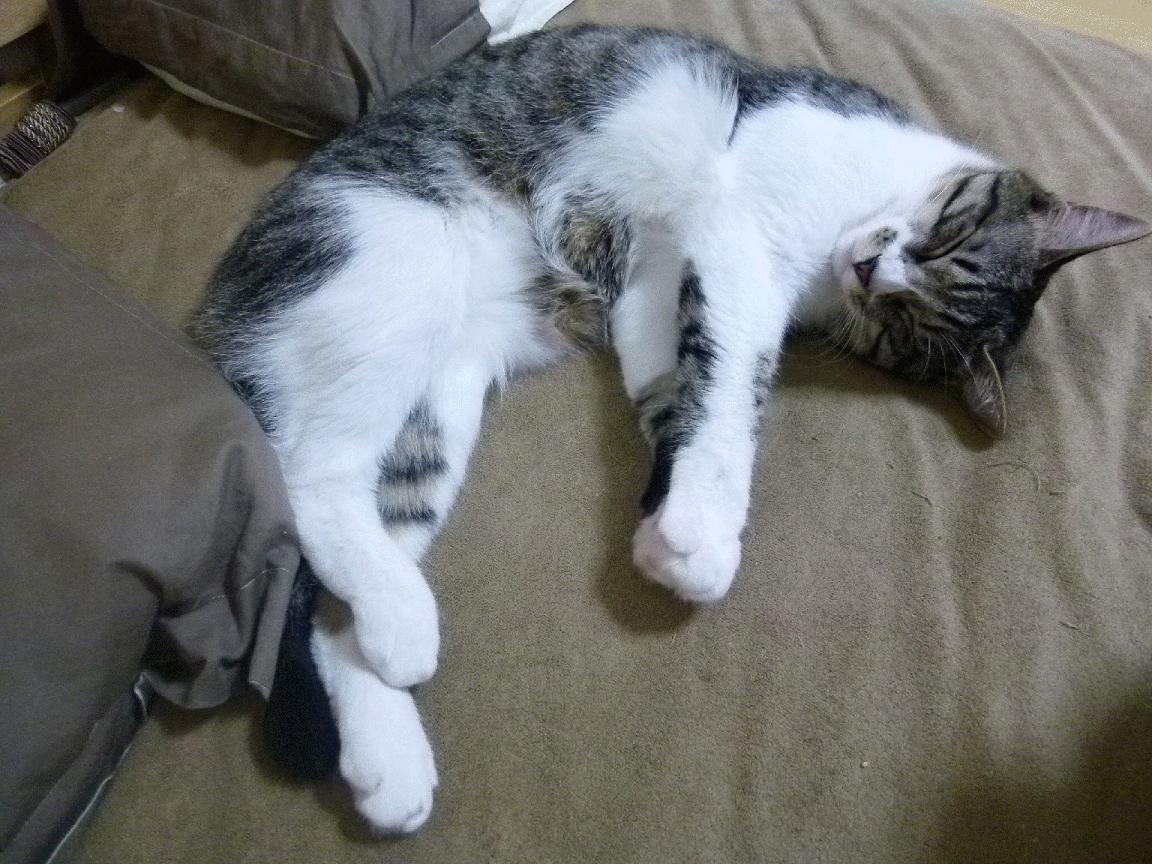 Kaiyun(中国)开云-中国女篮展示良好化学反应 场上默契十足