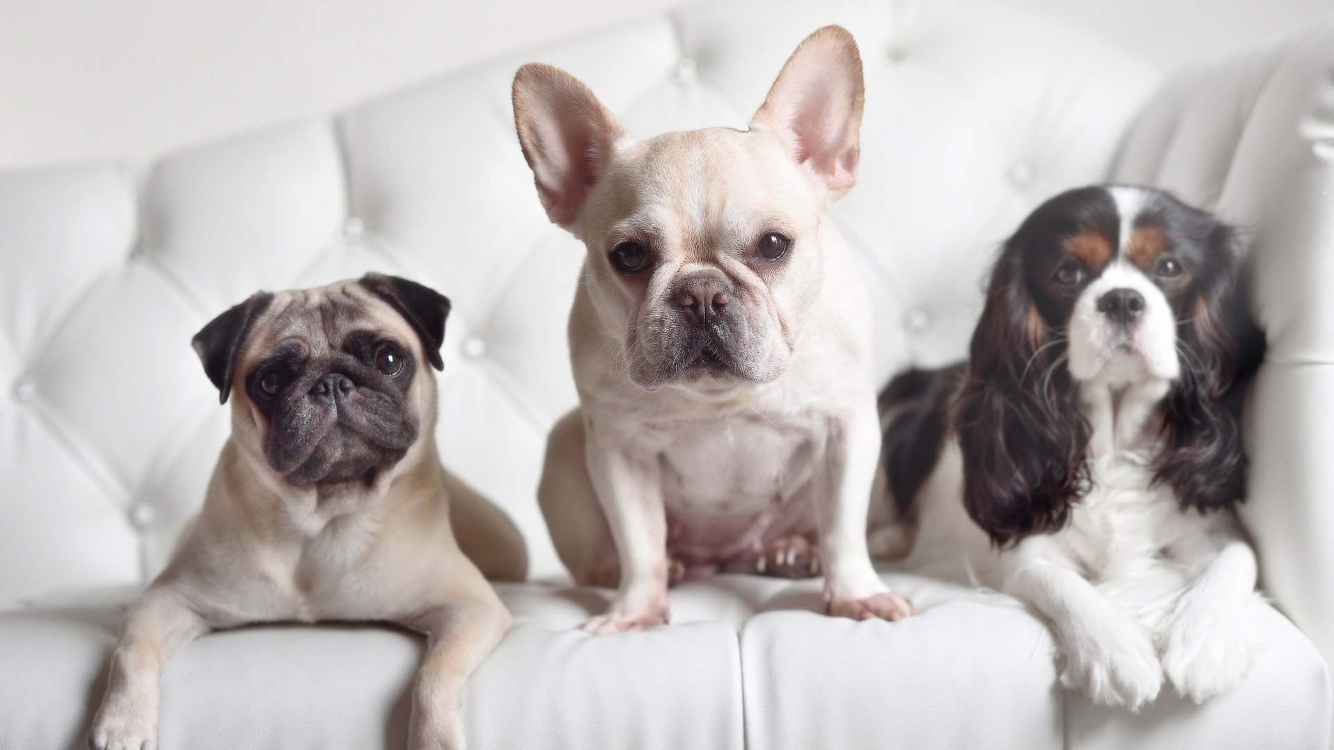 kaiyun官方入口登录-体育新闻中心参与体育数据资产保护法律框架建设，体育数据库和信息平台