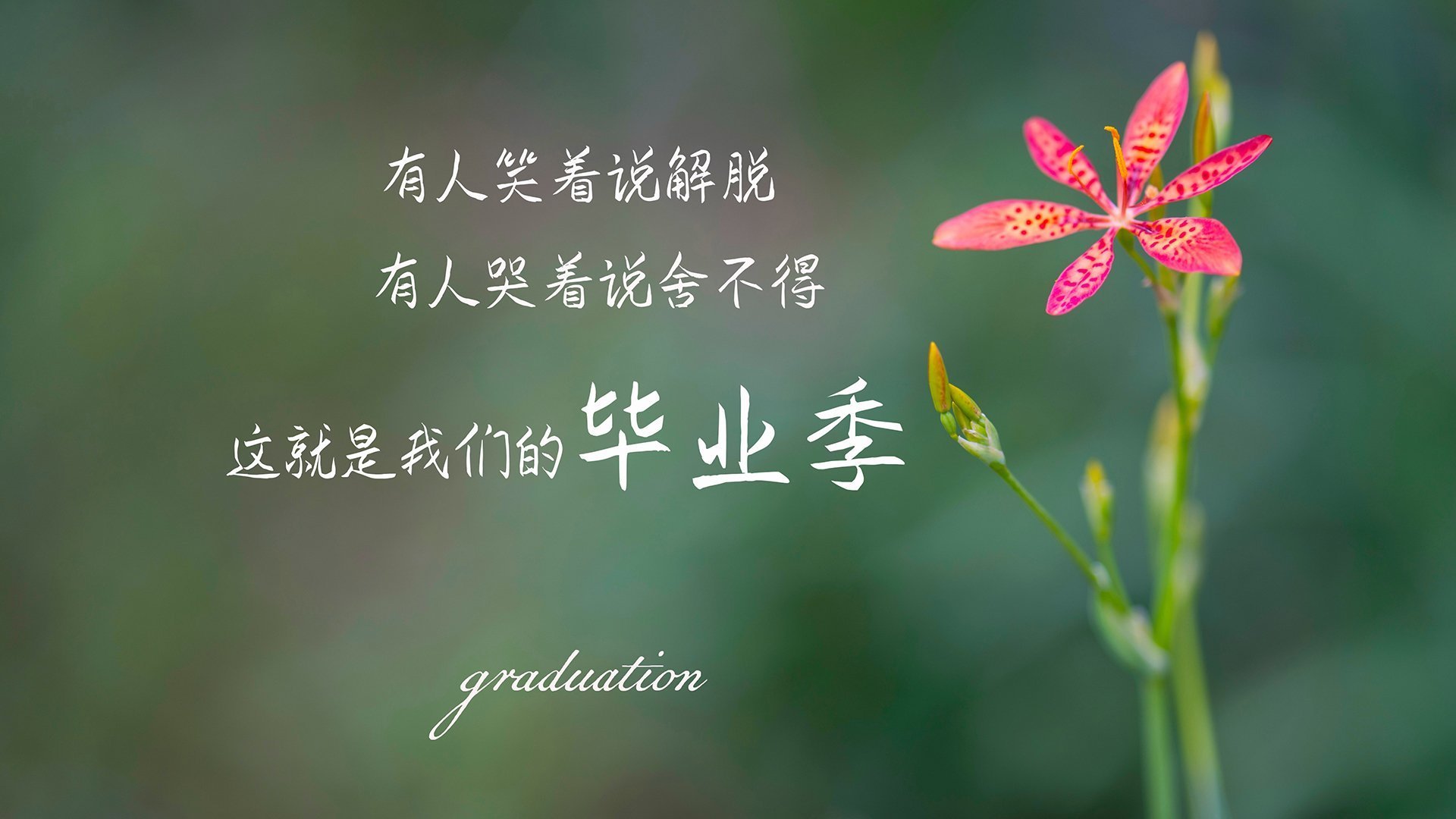 体育新闻中心协办国际体育数字传播技术峰会,数字体育产业