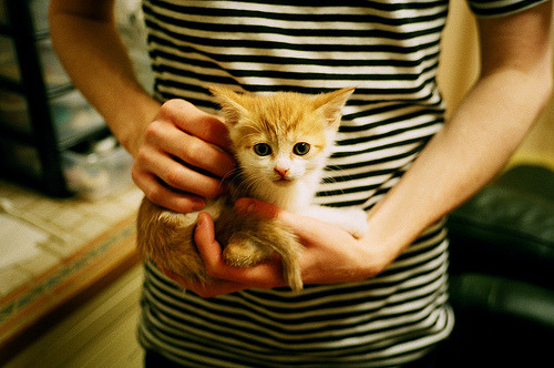 开云网站-印度队未来发展：通过细化训练程序，提升团队协作力，印度部队最新消息