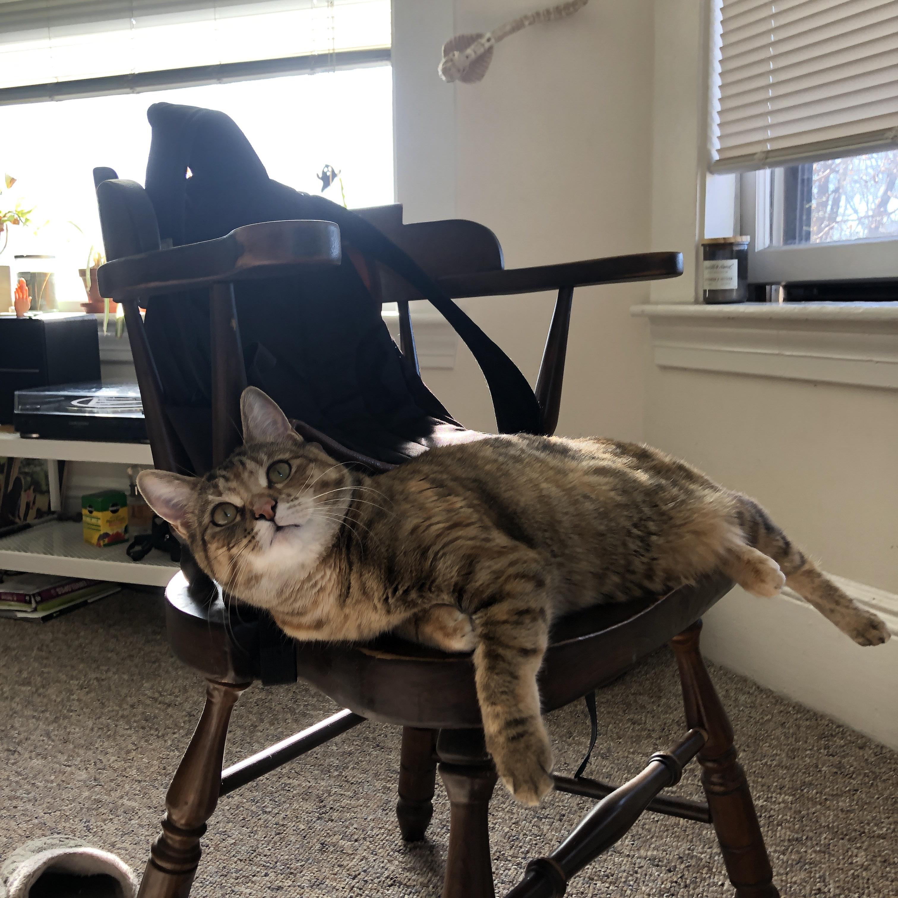 青少年足球训练质量参差不齐，青少年足球协调性