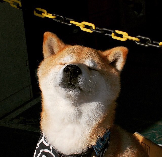 开云·体育官网-西班牙青年队崭露头角，未来可期