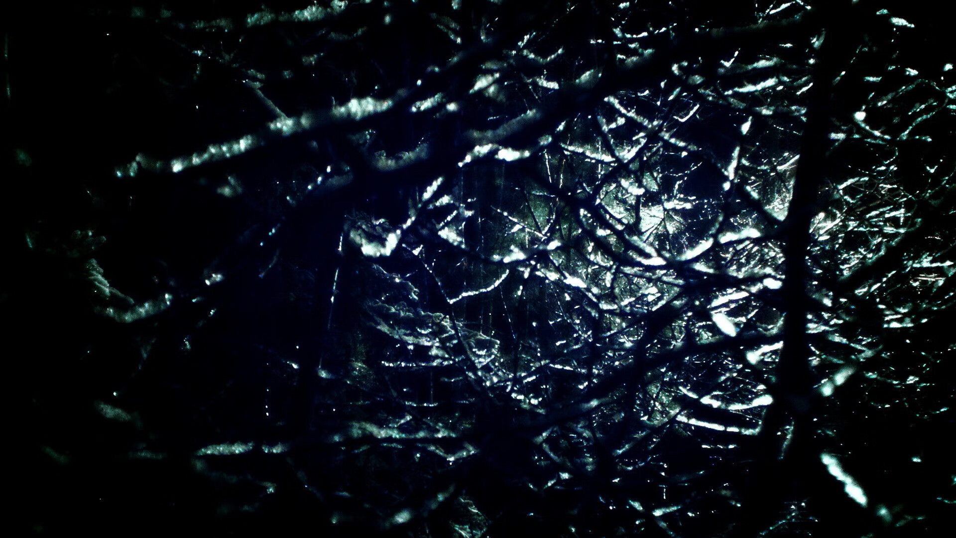 阿根廷青年新星崭露头角，国家队未来可期