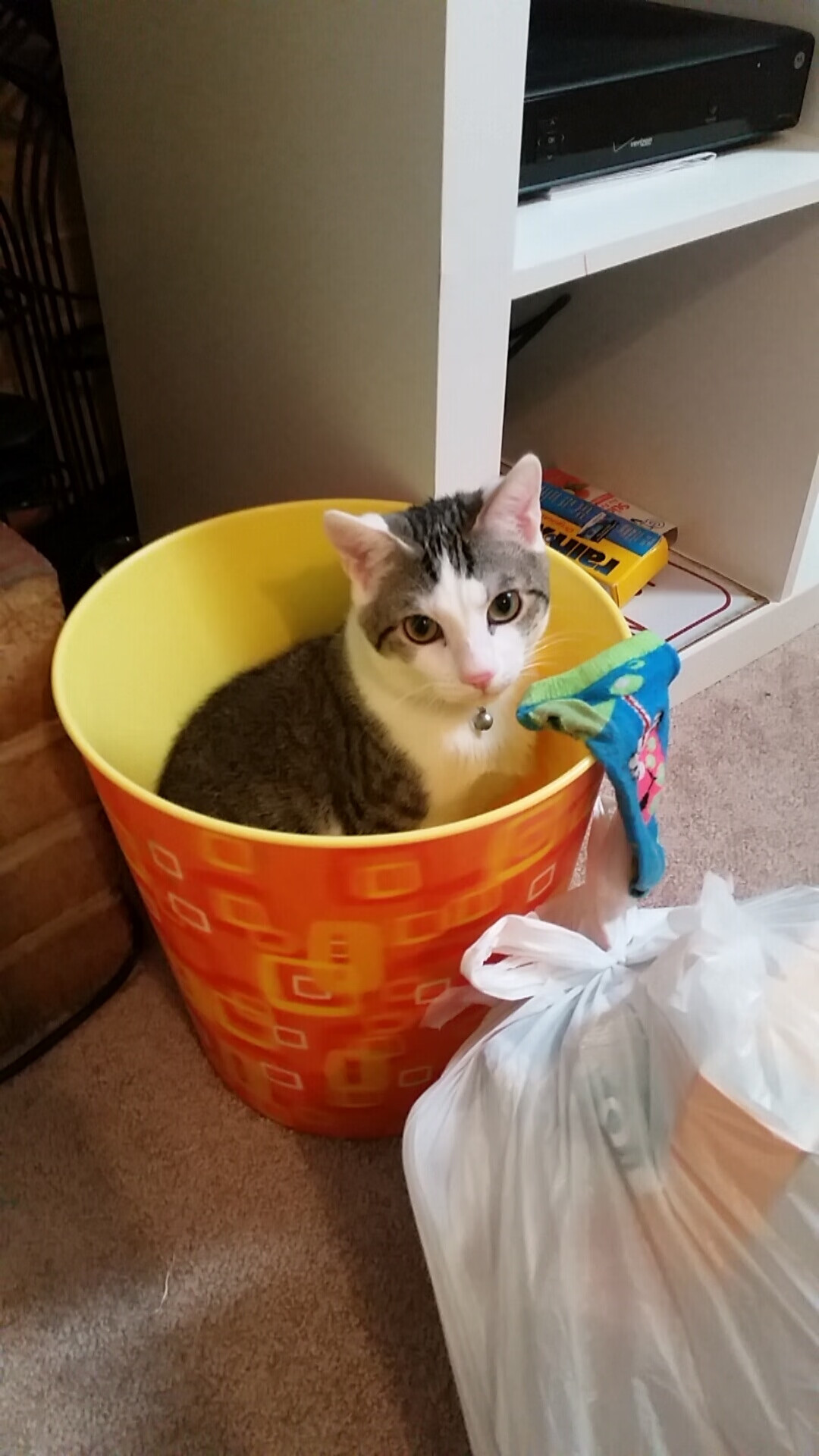 高尔强硬的突破能力，使袋鼠队进攻更具威胁